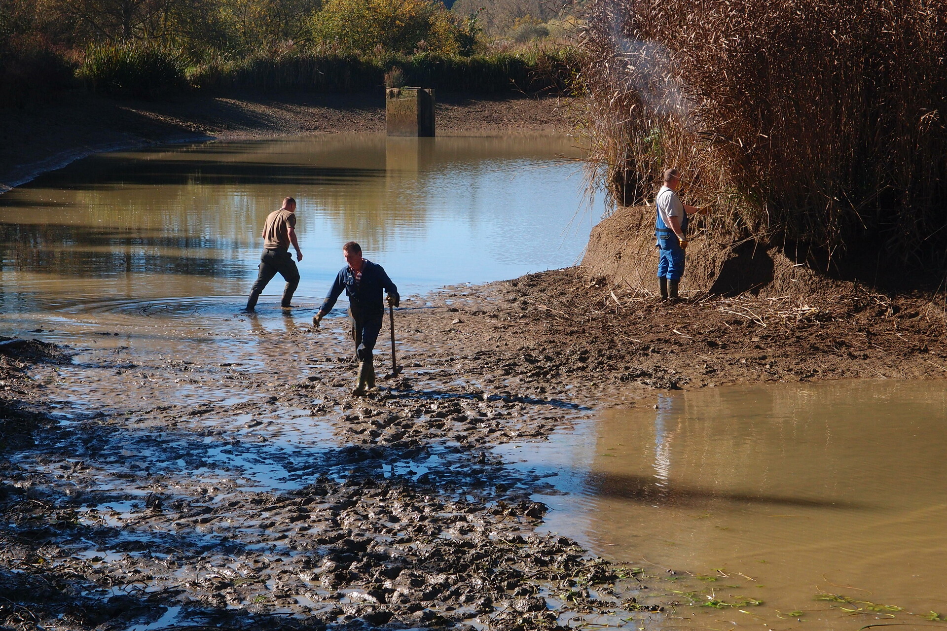 Galeriebild: PA183141